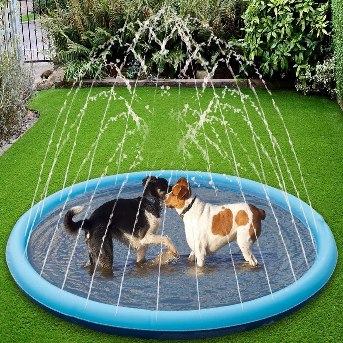 Dog Splash Pad