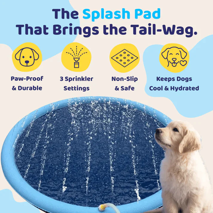 Dog Splash Pad