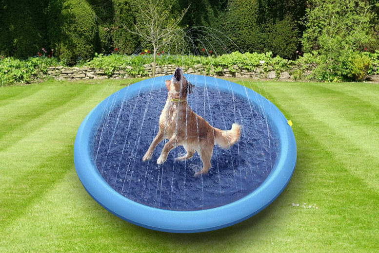 Dog Splash Pad