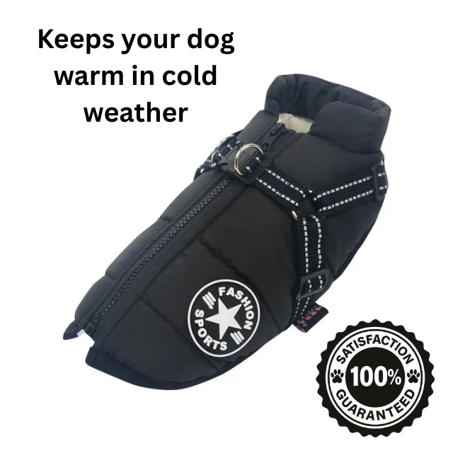 Waterproof Dog Jacket with Built-In Harness