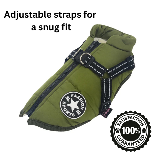 Waterproof Dog Jacket with Built-In Harness