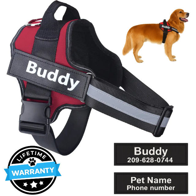 Personalized No-Pull Harness