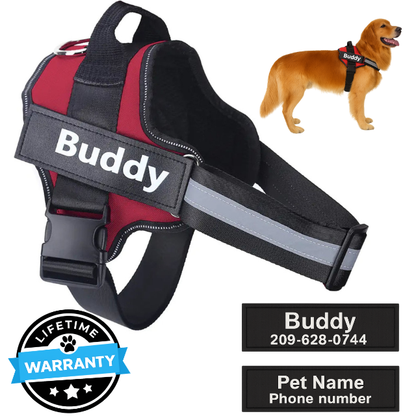 Personalized No-Pull Harness