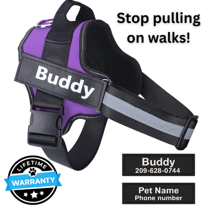 Personalized No-Pull Harness