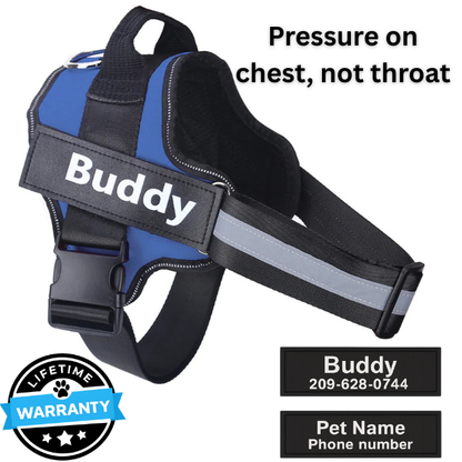 Personalized No-Pull Harness