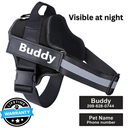 Personalized No-Pull Harness