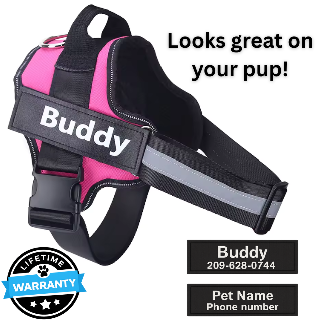 Personalized No-Pull Harness