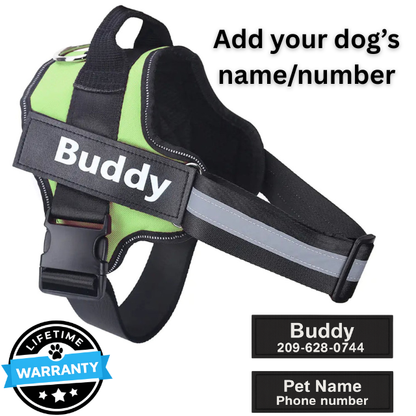 Personalized No-Pull Harness