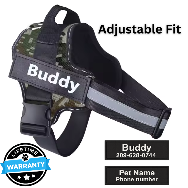 Personalized No-Pull Harness