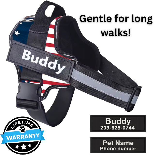 Personalized No-Pull Harness