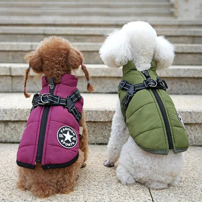 Waterproof Dog Jacket with Built-In Harness