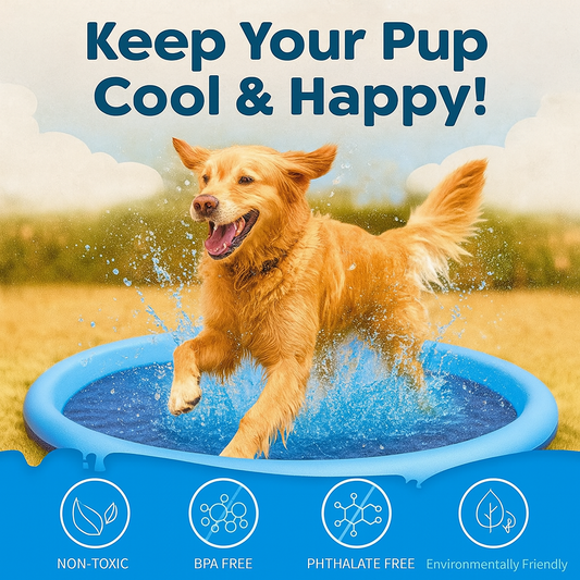 Dog Splash Pad