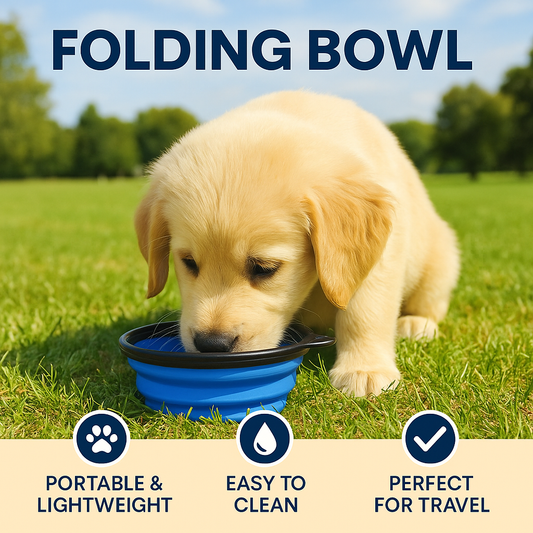 Folding Portable Bowl