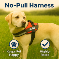 Personalized No-Pull Harness