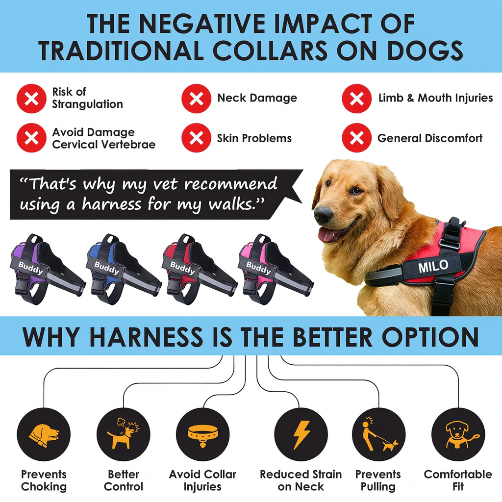 Personalized No-Pull Harness