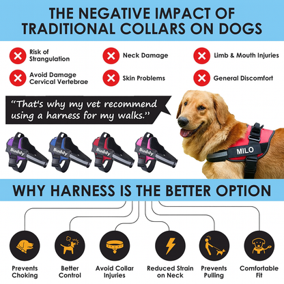 Personalized No-Pull Harness