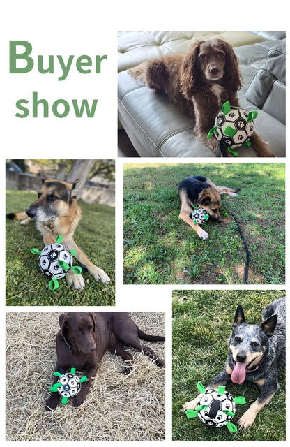 Soccer Ball with Grab Tabs