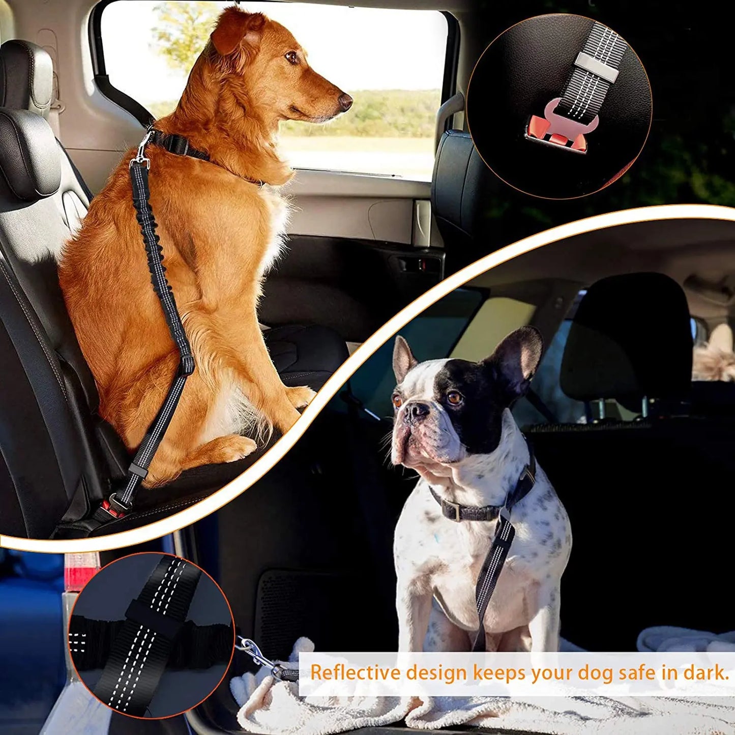 Dog Safety Seat Belt