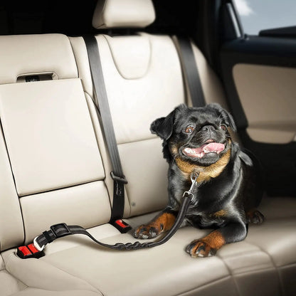 Dog Safety Seat Belt