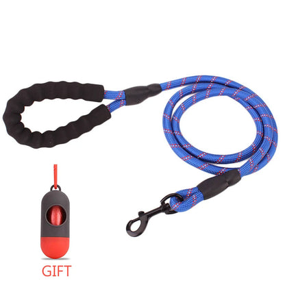 Reflective Walking Leash