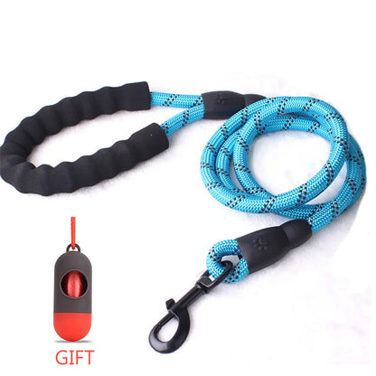 Reflective Walking Leash