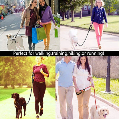 Reflective Walking Leash