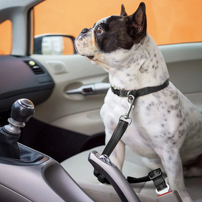 Dog Safety Seat Belt