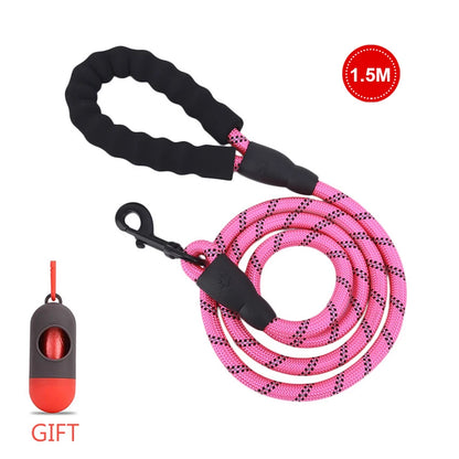 Reflective Walking Leash