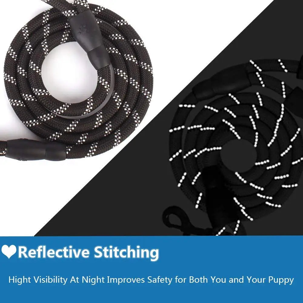 Reflective Walking Leash