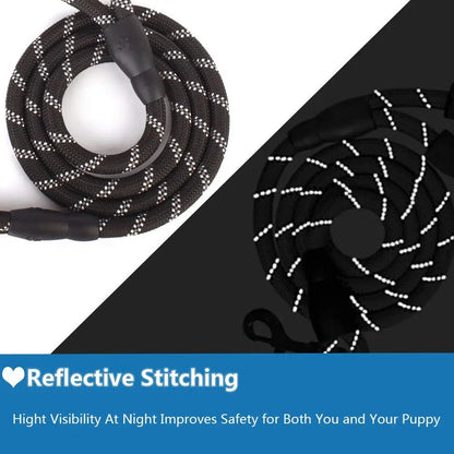 Reflective Walking Leash
