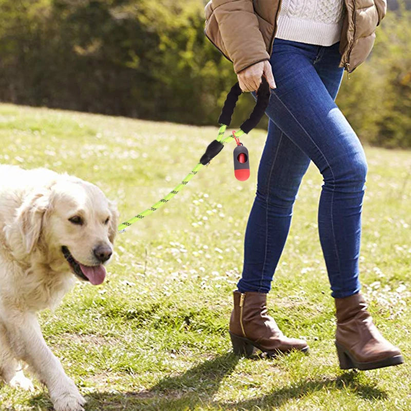 Reflective Walking Leash