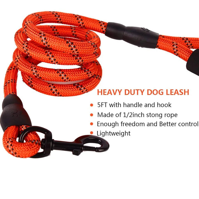 Reflective Walking Leash