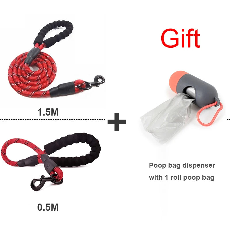 Reflective Walking Leash