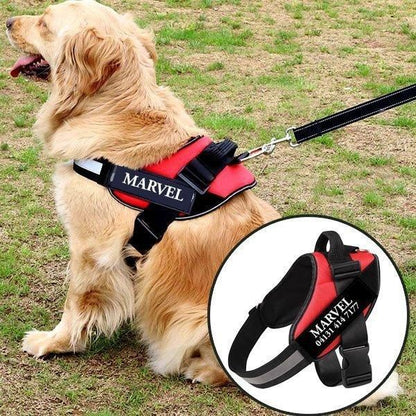 Personalized No-Pull Harness
