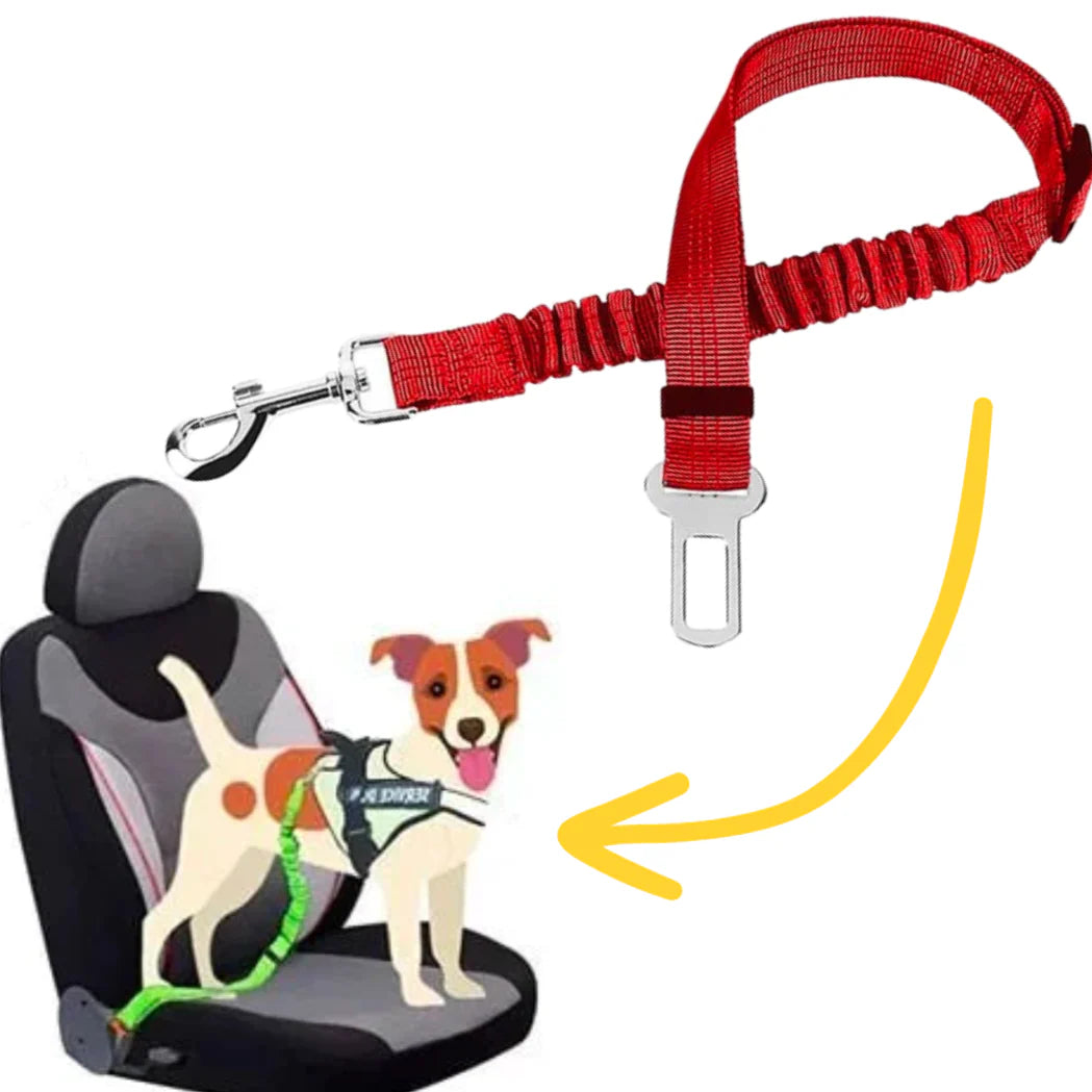 Dog Safety Seat Belt