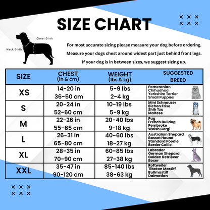 Personalized No-Pull Harness